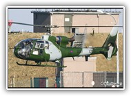 Gazelle AH.1 AAC XZ291 on 03 February 2009